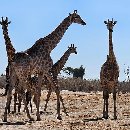 Xhabe Safari Lodge Chobe Muchenje 外观 照片