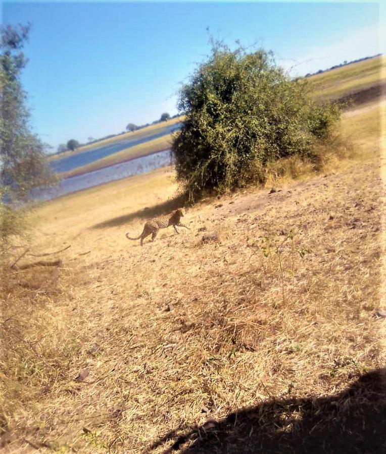 Xhabe Safari Lodge Chobe Muchenje 外观 照片