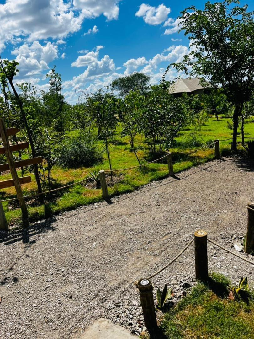 Xhabe Safari Lodge Chobe Muchenje 外观 照片